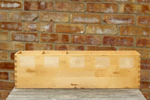 7 Pretty Plants That Are Actually Ruining Your Home foto images 7 Pretty Plants That Are Actually Ruining Your Home