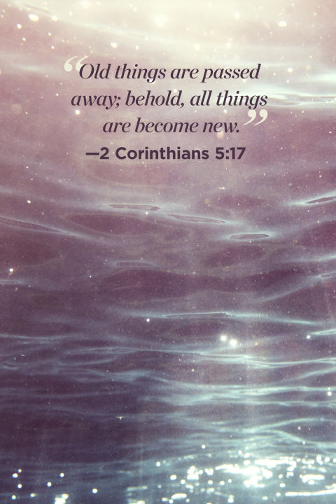 26 Inspirational Bible Quotes That Will Change Your 