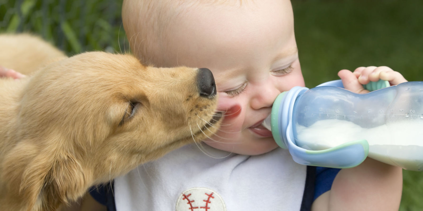 Nice Amazing pets love and lick puppy something Amazing pets love and lick puppy consider, that