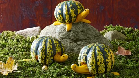 carve x assemble how to 2017 Halloween Ideas    Creative Pumpkin Carving 65 Best