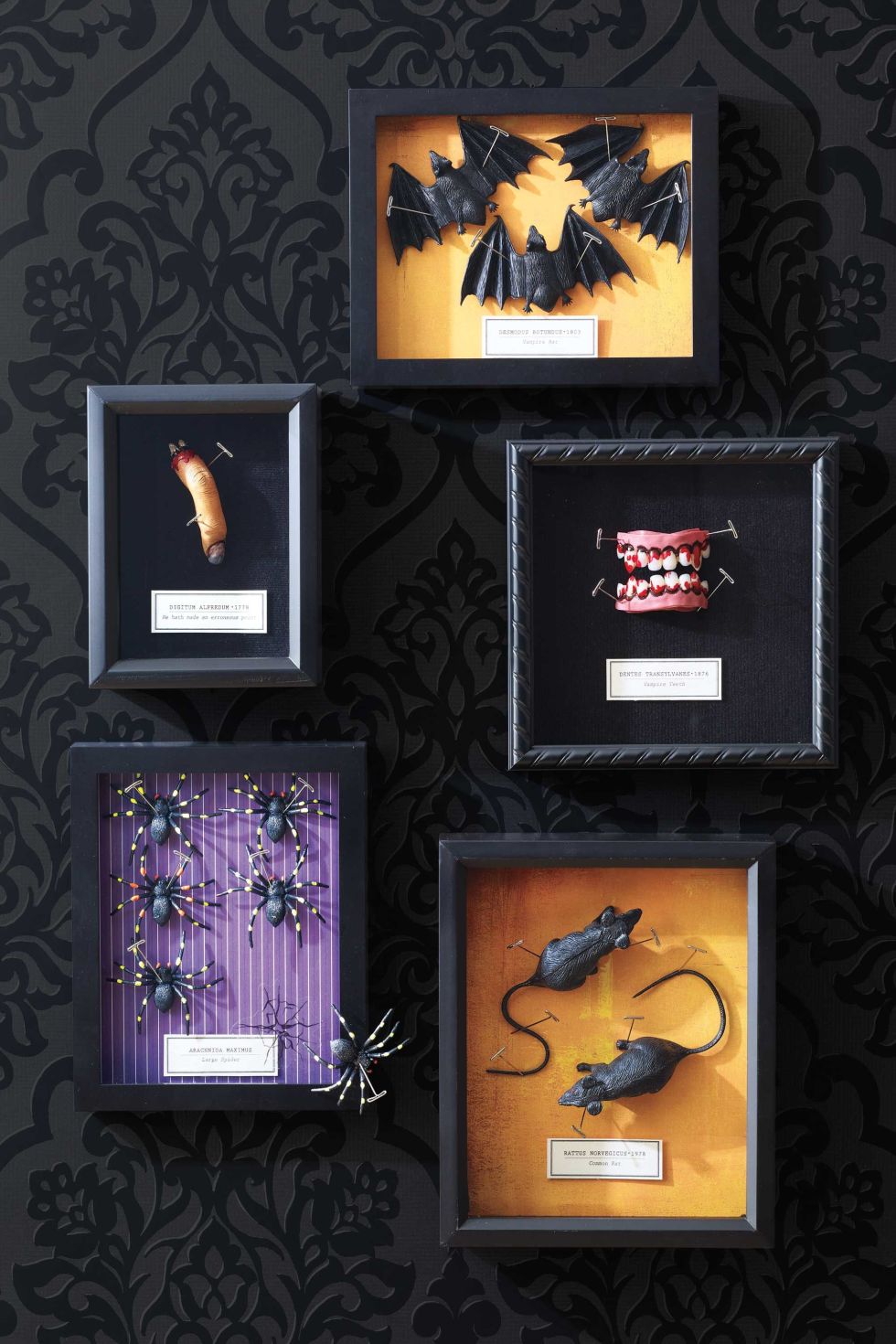 50 easy halloween decorations spooky home decor ideas for halloween - Inexpensive Halloween Decorations 50 easy halloween decorations spooky home decor ideas for halloween - Inexpensive Halloween Decorations