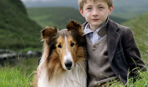 lassie type find friends for the bo at womansday lassie type find friends for the bo at womansday