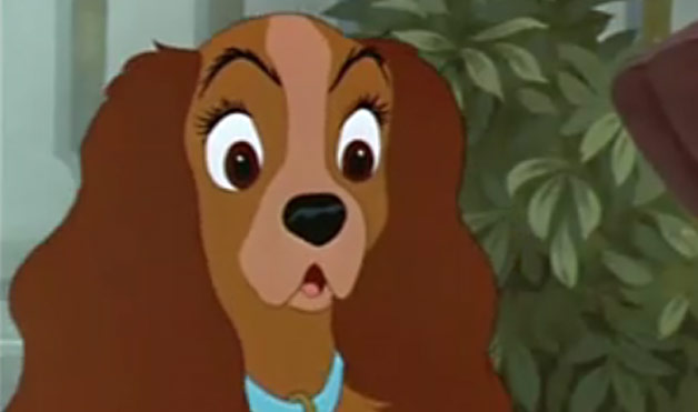an analysis of lady with the dog In this video i summarize and discuss two important points of analysis in this story: characterization and narration please feel free to comment and share. an analysis of lady with the dog In this video i summarize and discuss two important points of analysis in this story: characterization and narration please feel free to comment and share.