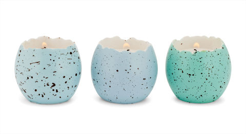 Navionics Cracked Egg Navionics Cracked Egg