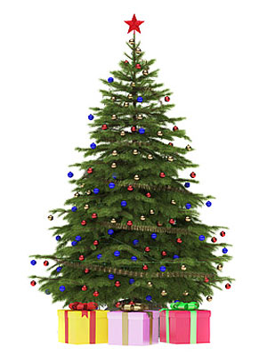 christmas tree buying guide how to score the perfect christmas tree buying guide how to score the perfect