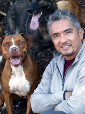 Learn these insider tips from pack leader Cesar Millan - 54eb46cd1ba71_-_10-top-dog-training-tips-from-the-dog-whisperer-mdn