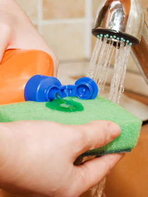 Choosing an Eco-Friendly Sponge Choosing an Eco-Friendly Sponge