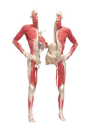 Conrad and kaul an anatomy of trading strategies