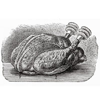 Artichoke and Almond-Stuffed Chicken Breasts Artichoke and Almond-Stuffed Chicken Breasts new picture Artichoke and Almond-Stuffed Chicken Breasts Artichoke and Almond-Stuffed Chicken Breasts new pictures