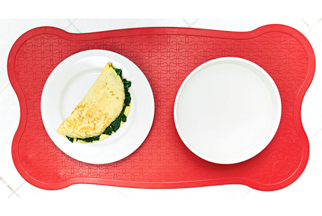 10 Surprising Human Foods Dogs Can Eat recommendations 10 Surprising Human Foods Dogs Can Eat forecasting