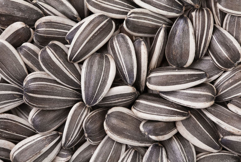 sunflower seeds