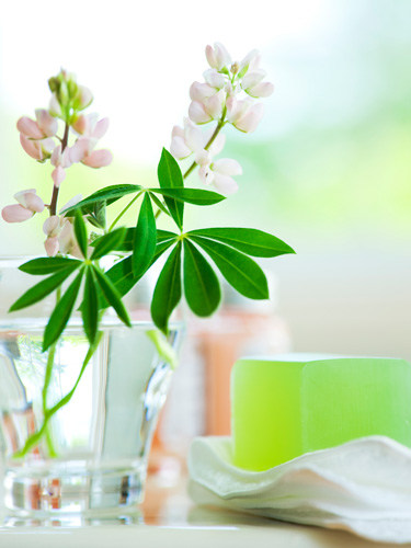 Beauty products Organic organic Beauty and Organic makeup natural Products Natural Beauty products Organic organic Beauty and Organic makeup natural Products Natural