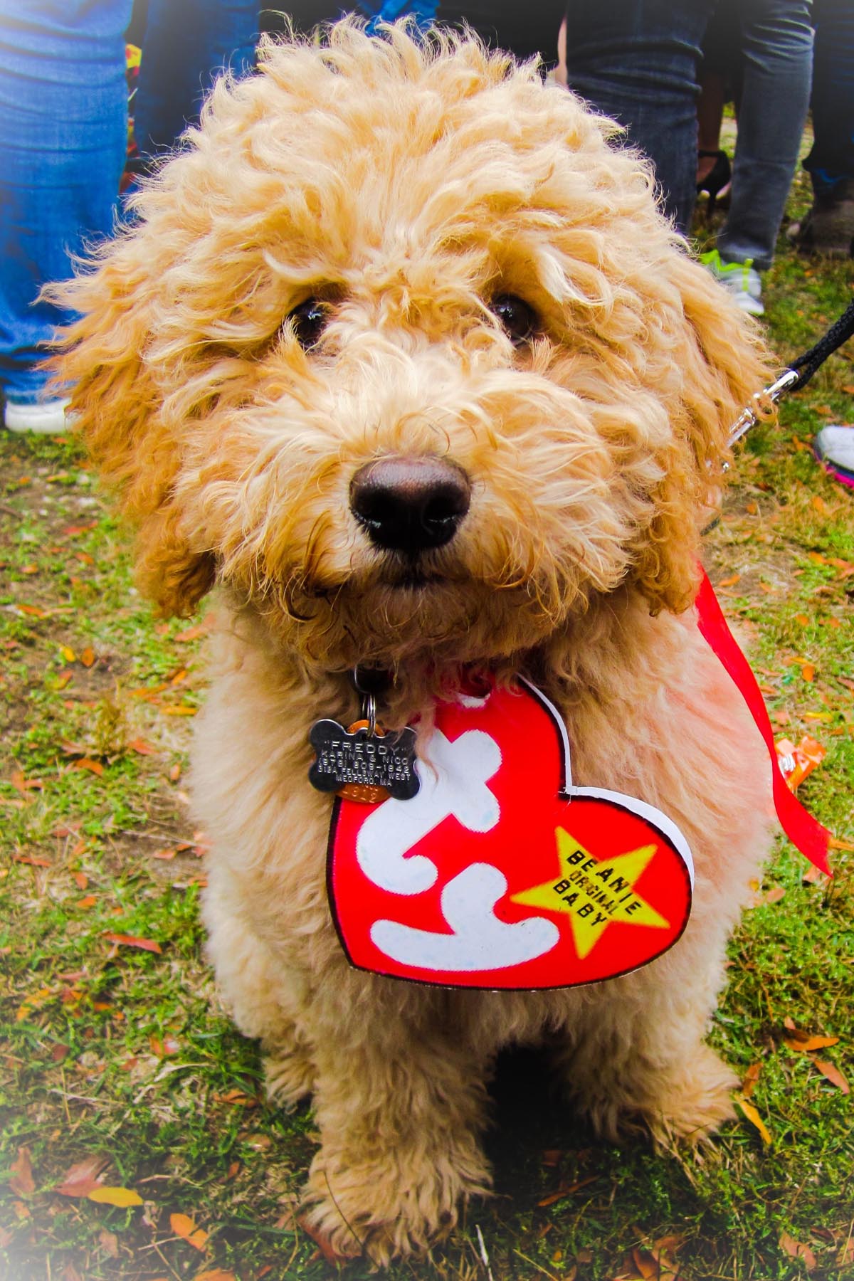 Halloween Dog Prisoner -Cute Funny Dress-Up Outfit For Small To Large Dogs Clothing For Holiday Party L
